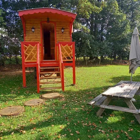 Les Insolites De Nini * Grainville-Ymauville