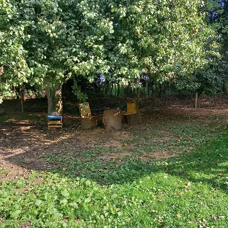 Les Insolites De Nini Séjour à la campagne