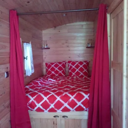 Les Insolites De Nini Kır Evi