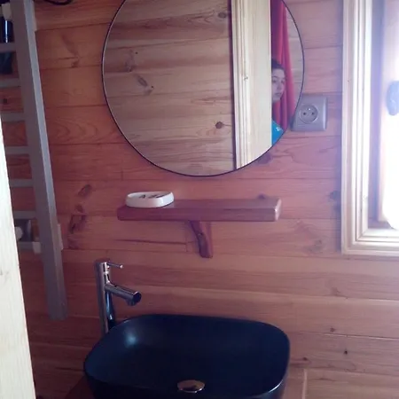 Les Insolites De Nini *