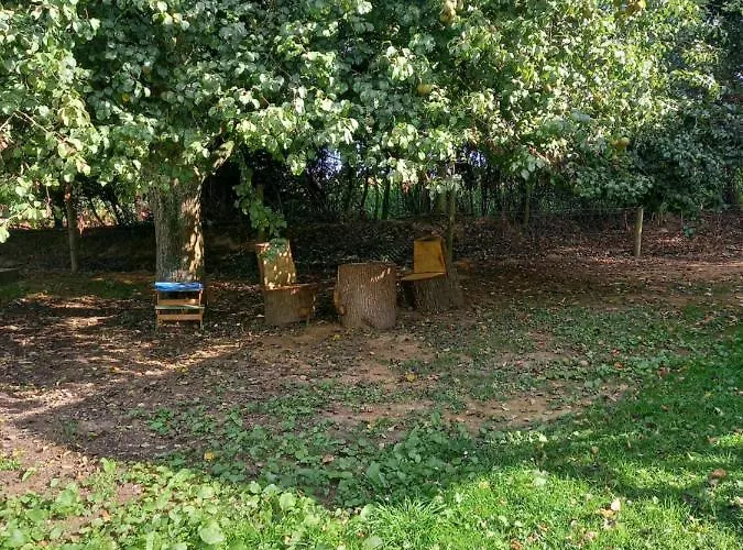 Les Insolites De Nini Landsted