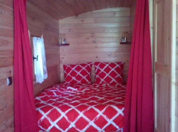 Les Insolites De Nini Landsted