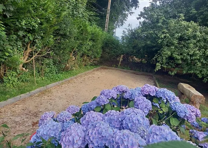 Les Insolites De Nini Landsted *